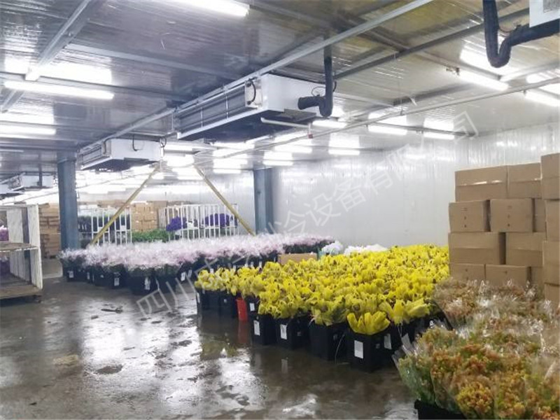 鲜花冷库