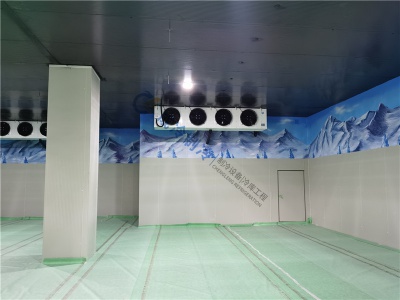南部县威尼斯冰雪馆冷库